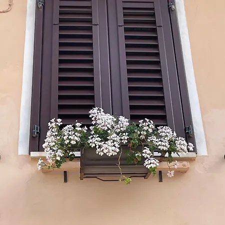 Apartment La Fontina Marciana Marina (Isola d'Elba)