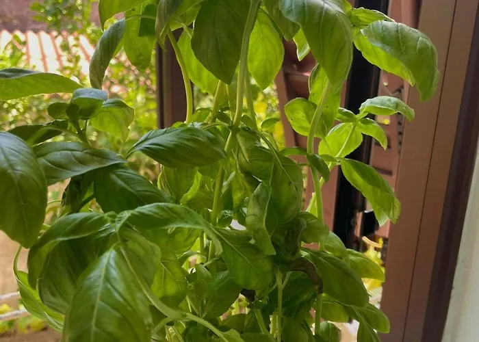 La Fontina Apartmán *